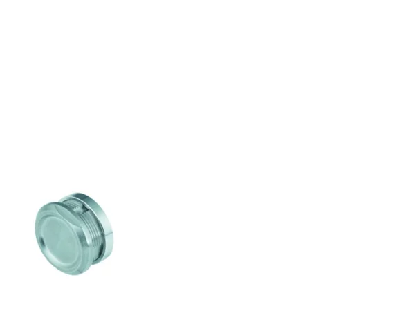 Blind plug