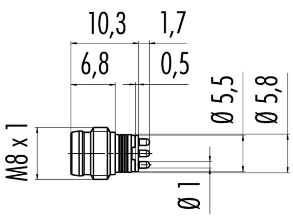 Male receptacle