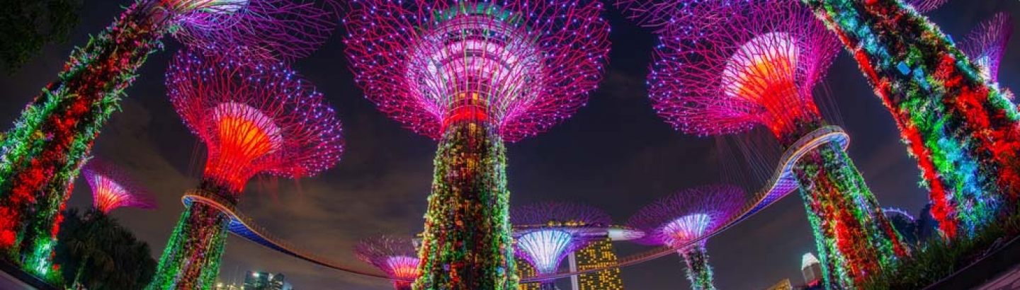 Creating a starry sky with LED Lighting and M12 connectors