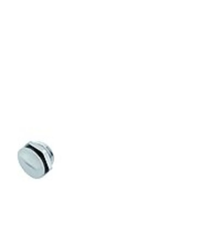 Dummy Plug